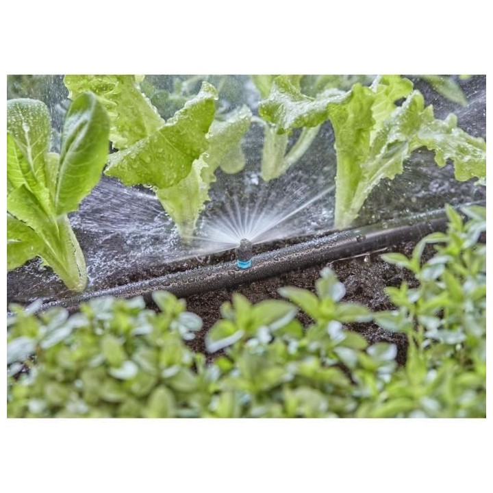 Micro-asperseur 180° Micro-Drip - 13321-20