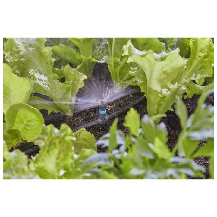 Micro-asperseur 180° Micro-Drip - 13321-20