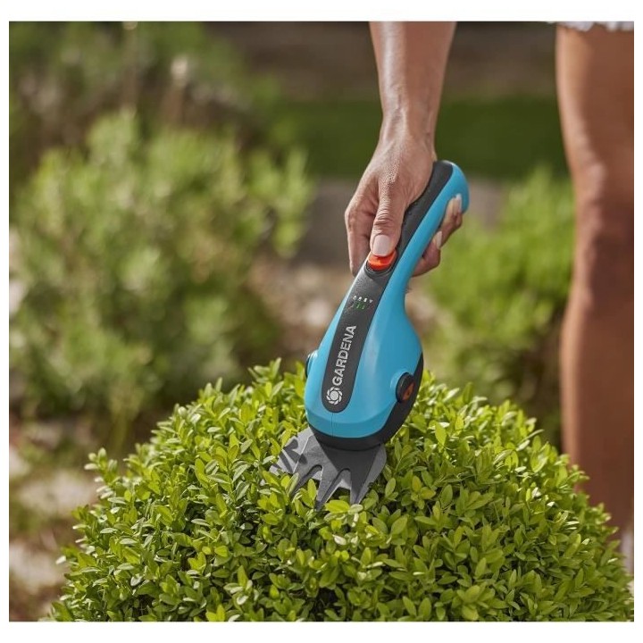 Kit cisaille a gazon ClassicCut Li + manche télescopique + roues - 3,