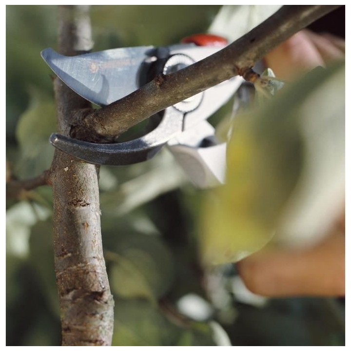 GARDENA Sécateur BP 50 Premium – Ø24mm max – Lames franches acie