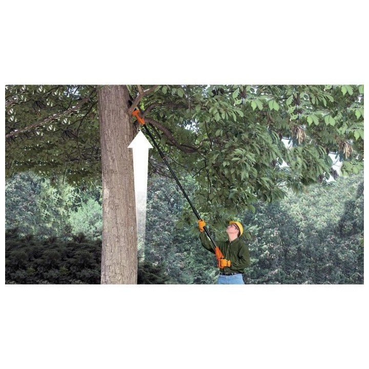 BLACK+DECKER Coupe-Branches 20 cm 18V 2 Ah GPC1820L20-QW Tendeur De Ch