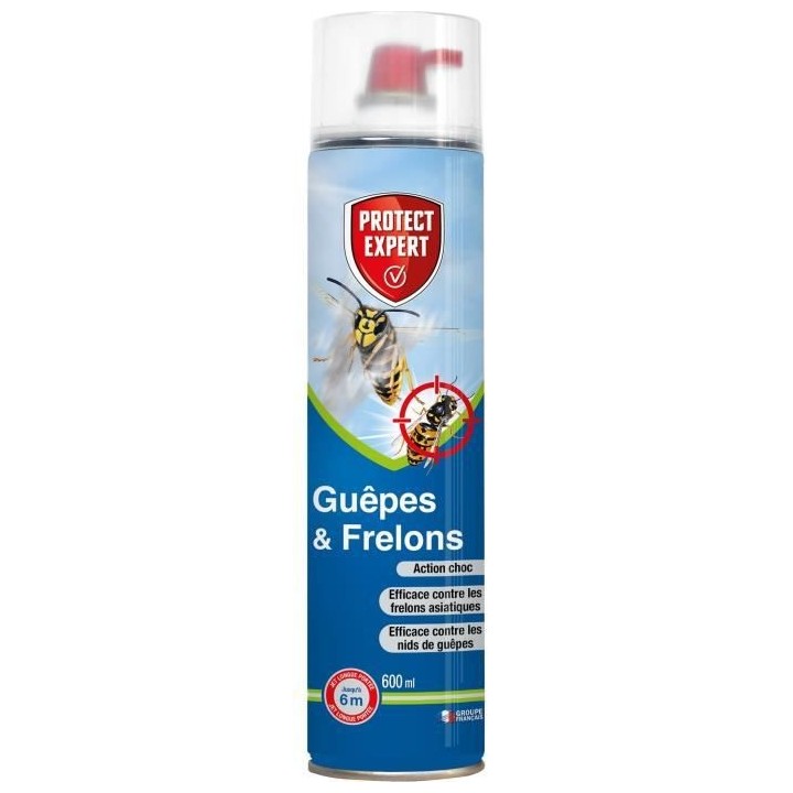 PROTECT EXPERT GUEP600 Aerosol Guepes & Frelons 600 ML : Mousse Et Jet