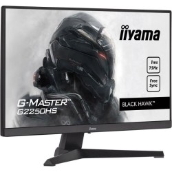 Ecran PC Gamer - IIYAMA...