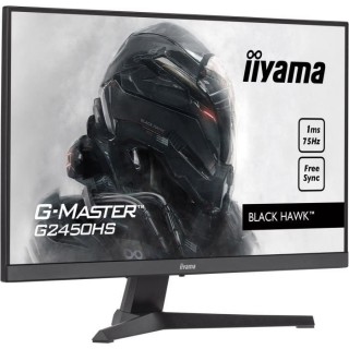 Ecran PC Gamer - IIYAMA G-Master Black Hawk G2450HS-B1 - 24 FHD - Dall