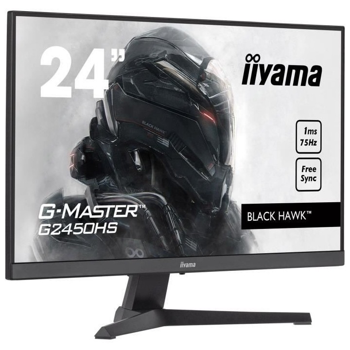 Ecran PC Gamer - IIYAMA G-Master Black Hawk G2450HS-B1 - 24 FHD - Dall