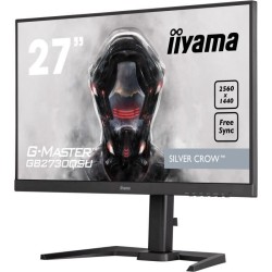 Ecran PC Gamer - IIYAMA...