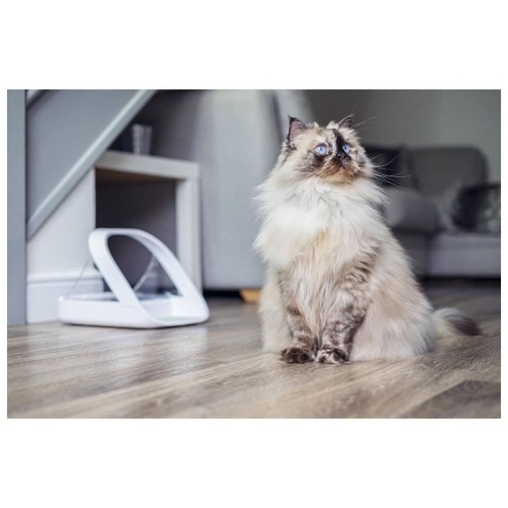 SUREFEED Distributeur de nourriture a puce électronique connecté - B