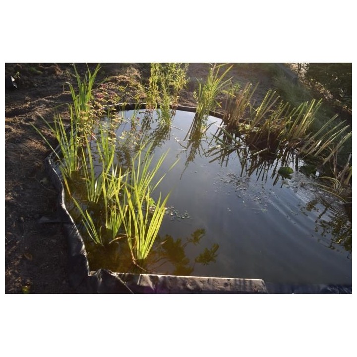 NATURE Bordure de jardin et bassin en PVC recyclé Borderfix - Epaisse