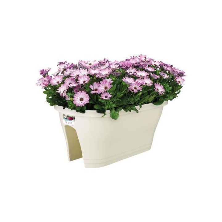 ELHO Bac de balcon Corsica Flower Bridge 60 - Blanc - Extérieur & Bal