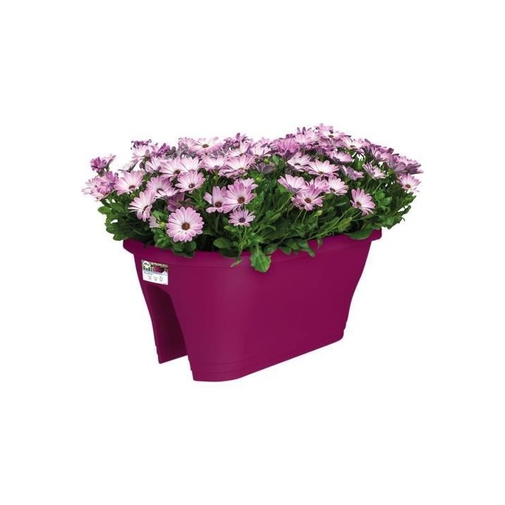 ELHO Bac de balcon Corsica Flower Bridge 60 - Rose cerise - Extérieur
