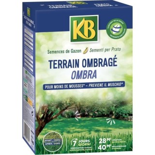 KB - Semences gazon - Terrain ombragé 28m²