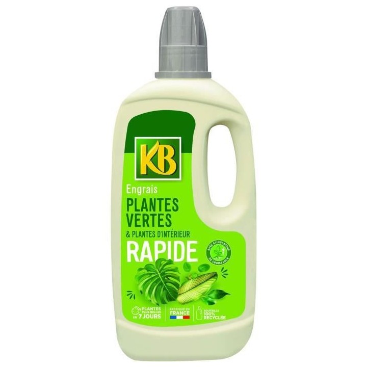 Engrais Rapide Plantes Vertes Et Plantes D'intérieur 1L