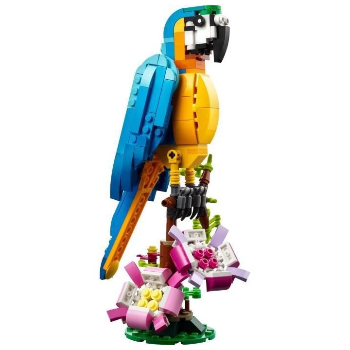 LEGO Creator 3-en-1 31136 Le Perroquet Exotique, Figurines Animaux de