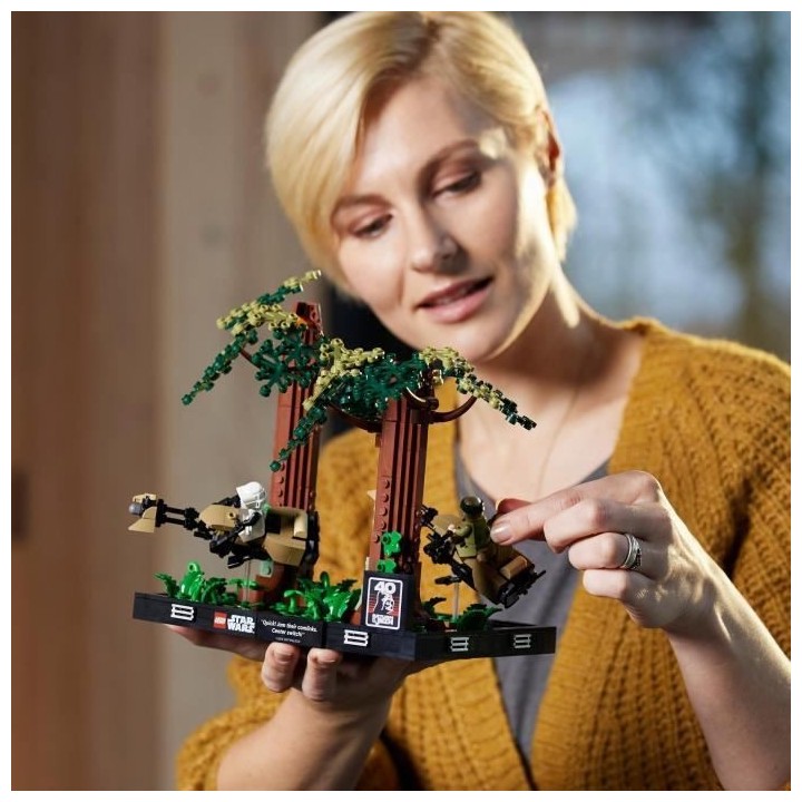 LEGO Star Wars 75353 Diorama de la Course-Poursuite en Speeder sur End