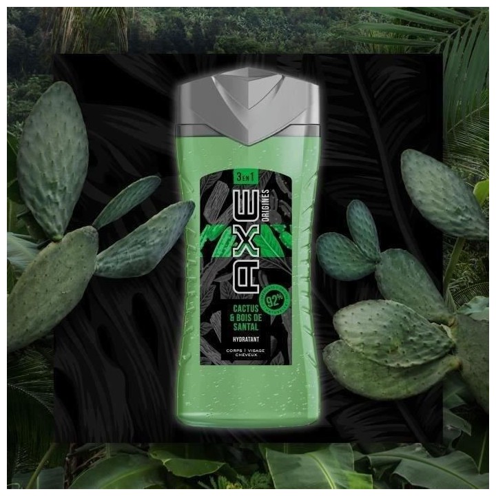 [Lot de 12] AXE Gel Douche Origines - Cactus & Bois de Santal - 250 ml