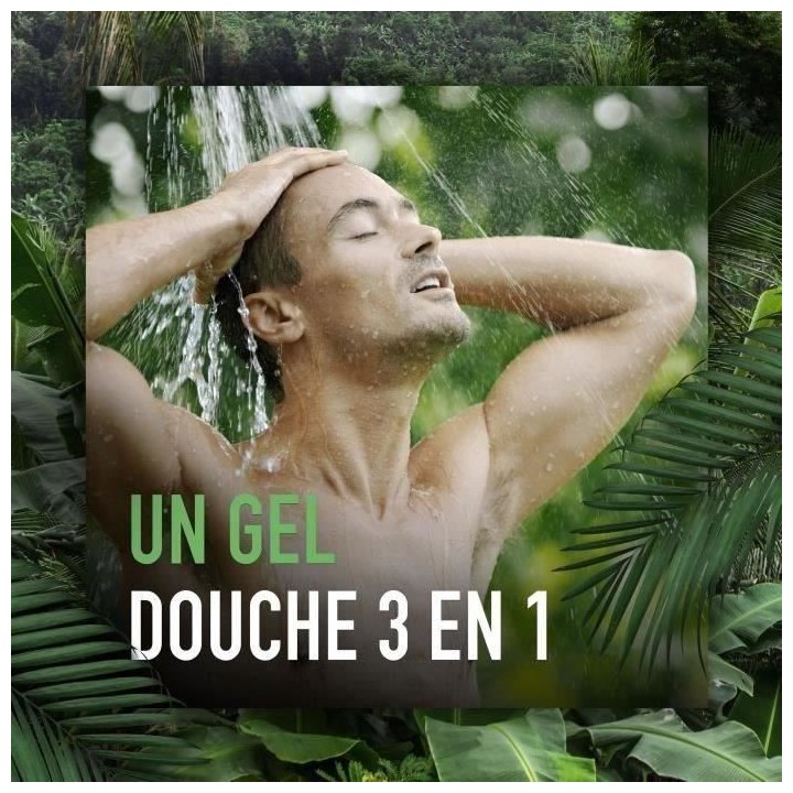 [Lot de 12] AXE Gel Douche Origines - Cactus & Bois de Santal - 250 ml