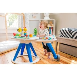 Trotteur Around We Go - BABY EINSTEIN