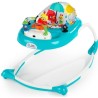 BABY EINSTEIN Trotteur Exploreur du ciel