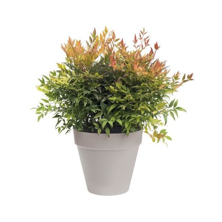ELHO Pot de fleurs rond avec roues Loft Urban - Ø 40 cm - Gris chaud
