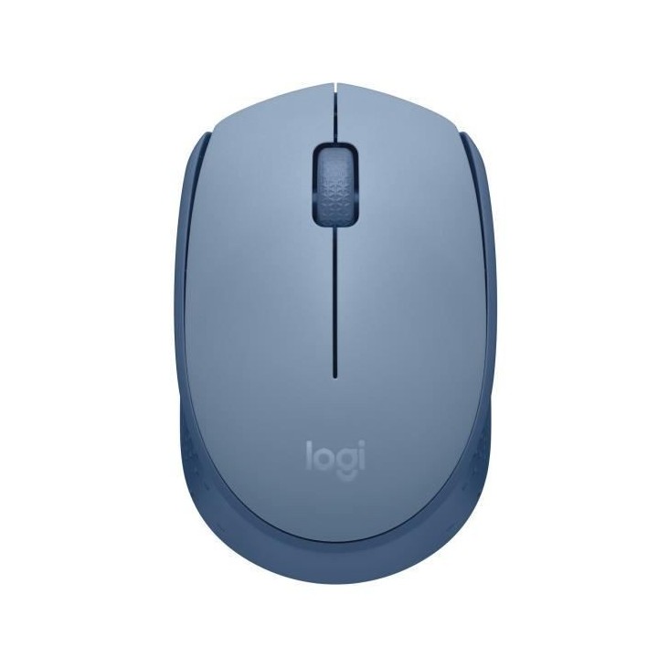 Logitech M171 Souris Sans Fil 2,4 GHz avec Mini-récepteur USB, Suivi