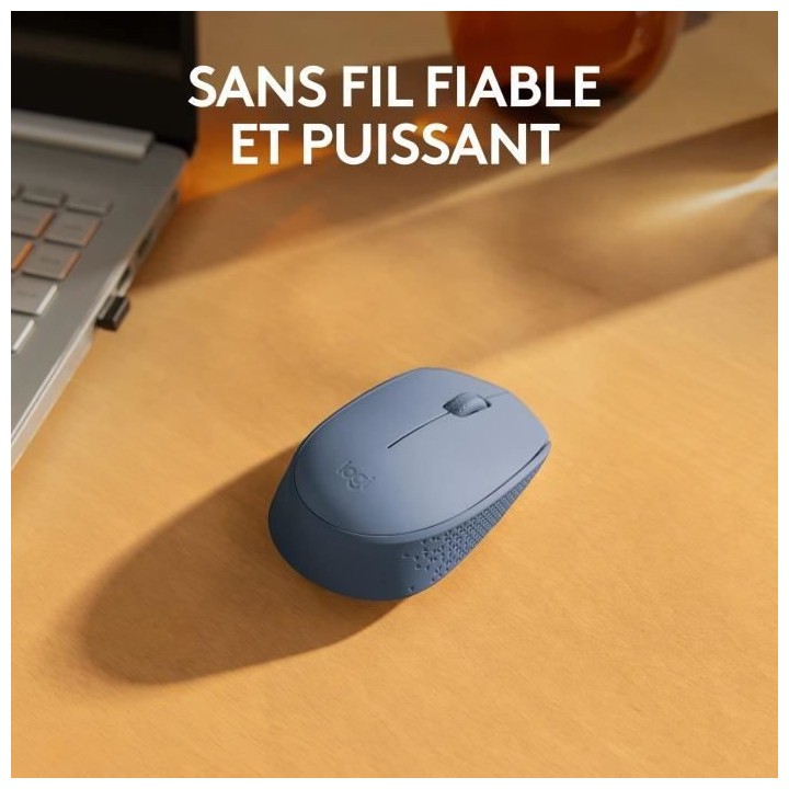 Logitech M171 Souris Sans Fil 2,4 GHz avec Mini-récepteur USB, Suivi