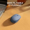 Logitech M171 Souris Sans Fil 2,4 GHz avec Mini-récepteur USB, Suivi Optique, Ambidextre - Bleu Gris