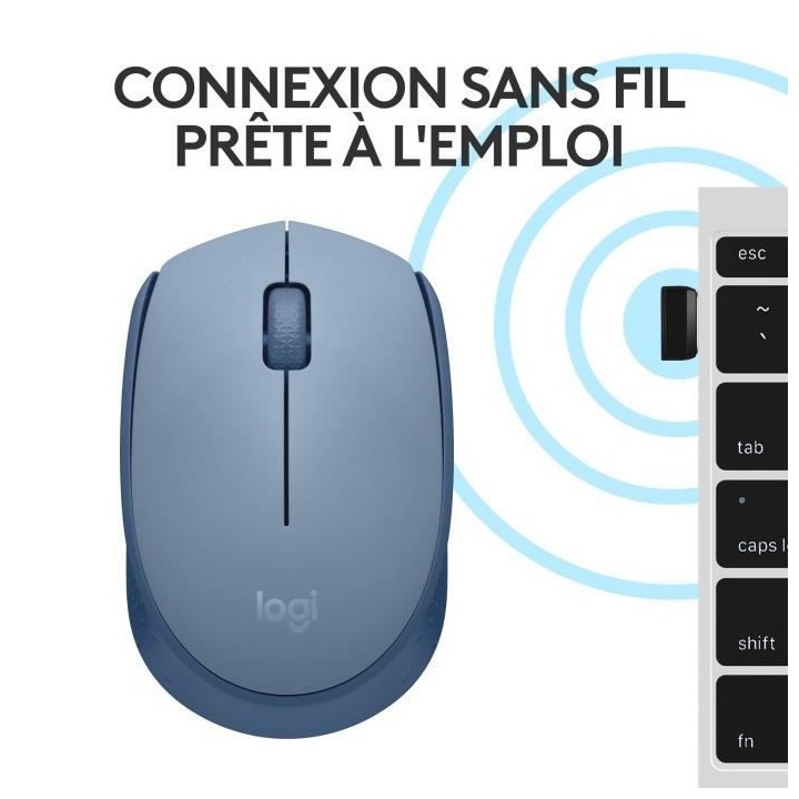 Logitech M171 Souris Sans Fil 2,4 GHz avec Mini-récepteur USB, Suivi