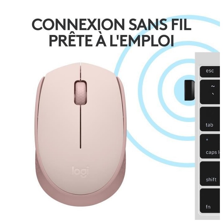 Logitech M171 Souris Sans Fil 2,4 GHz avec Mini-récepteur USB, Suivi