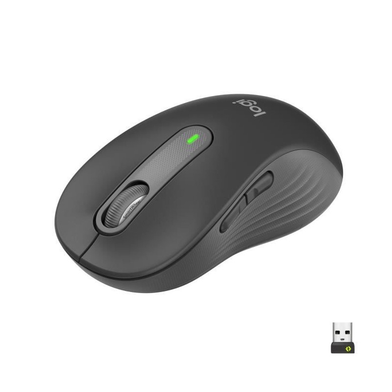 Souris Sans Fil Logitech Signature M650 L - Grande Taille Silencieuse, Bluetooth, Boutons Programmables - Graphite