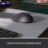 Souris Sans Fil Logitech Signature M650 L - Grande Taille Silencieuse, Bluetooth, Boutons Programmables - Graphite