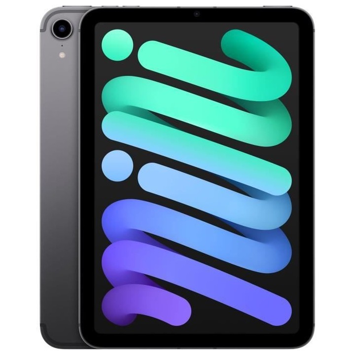 Apple - iPad mini (2021) - 8,3 WiFi + Cellulaire - 64 Go - Gris Sidér