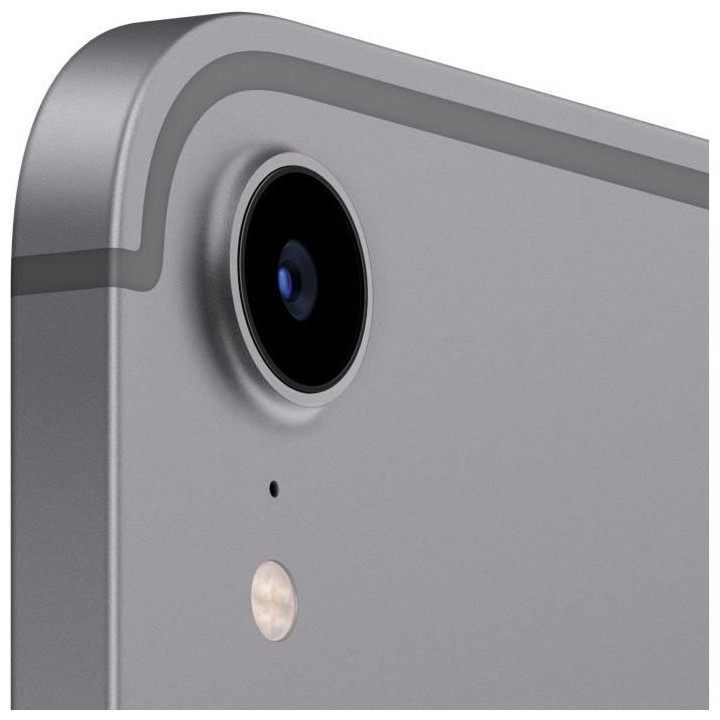 Apple - iPad mini (2021) - 8,3 WiFi + Cellulaire - 64 Go - Gris Sidér