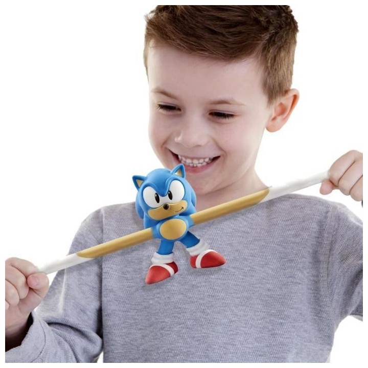 Figurine Sonic - Goo Jit Zu MOOSE TOYS