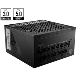 MSI MPG A1000G PCIE5 Bloc...