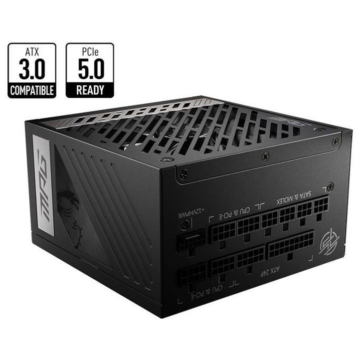 MSI MPG A1000G PCIE5 Bloc d'alimentation 1000W
