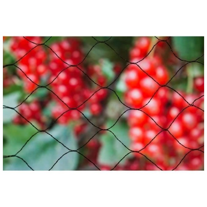 Filet anti-oiseaux Primo 10x2m en maille tricotée polyéthylene 12gr/