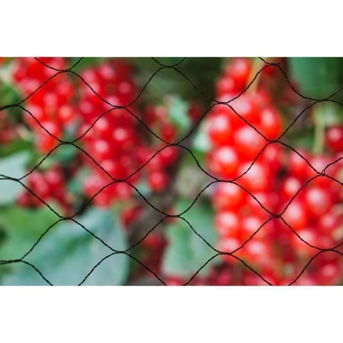/165075/filet-anti-oiseaux-primo-10x2m-en-maille-tricotee-polyethylene-12gr-m-noir.jpg
