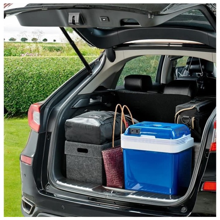 Glaciere thermoélectrique 2 en 1 chaud/froid OCEANIC - 12/24V - 24 li