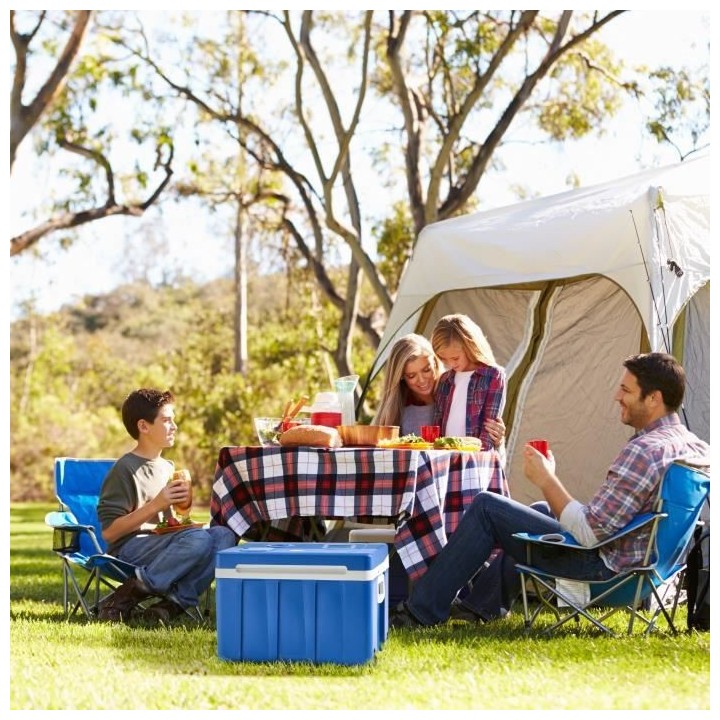 Glaciere thermoélectrique 2 en 1 chaud/froid OCEANIC - 12/24V - 50 li