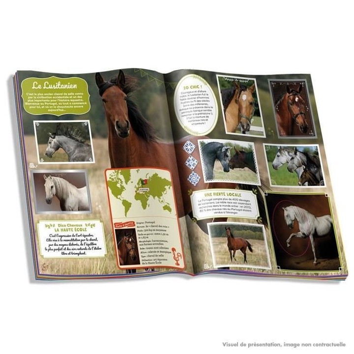 Chevaux 2023 – album PANINI