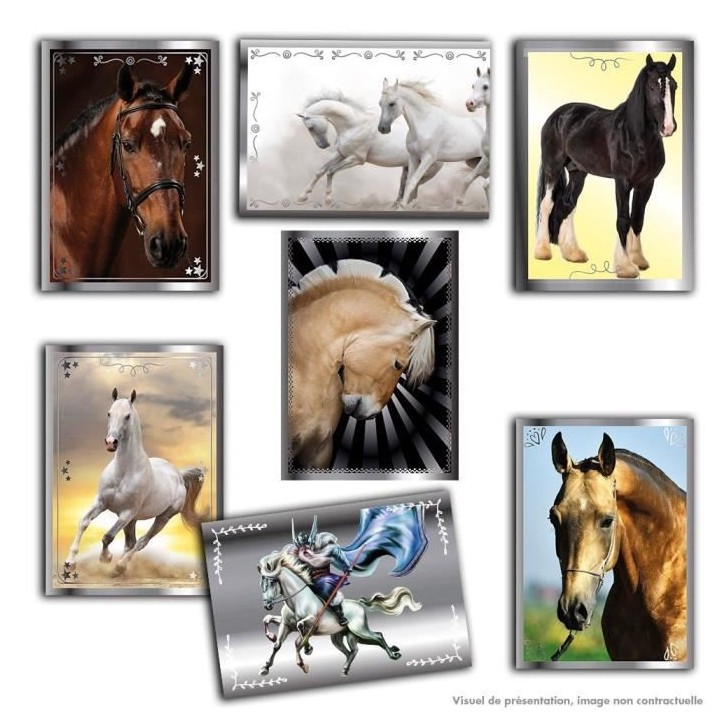 Chevaux 2023 – album PANINI