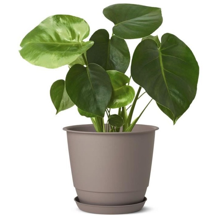 Pot de fleurs d'extérieur JOY, Pot Rond, Coloris Taupe - Ø48,8 x H.4