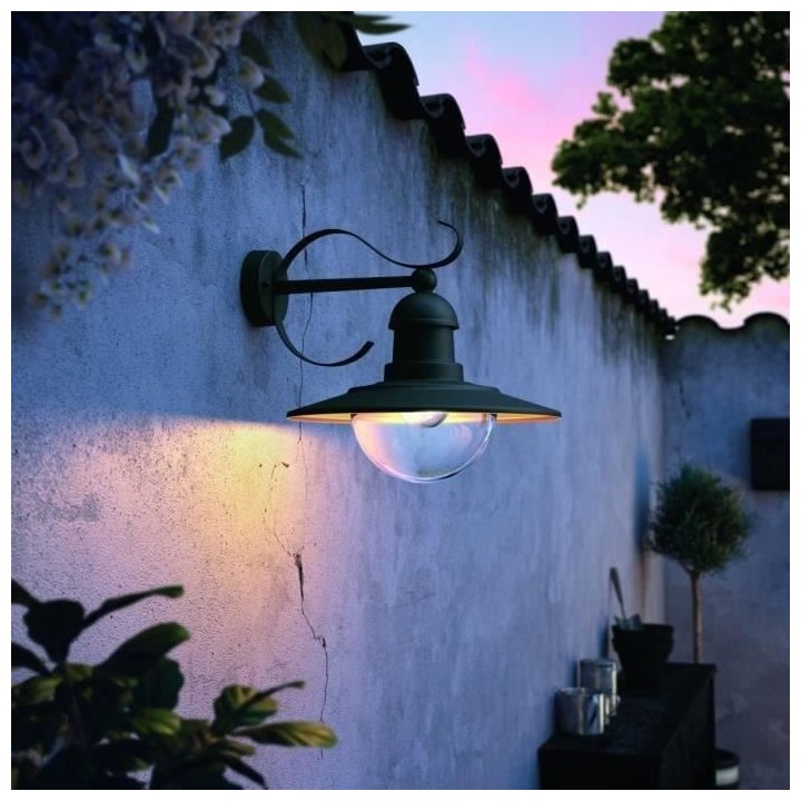 PHILIPS Topiary Applique murale extérieure - Noire - 1x60W - 230V