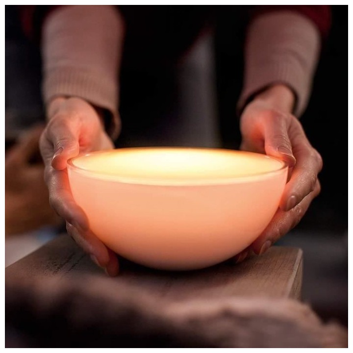 Philips Hue Go Lampe portable connectée White and Color Compatible Bl