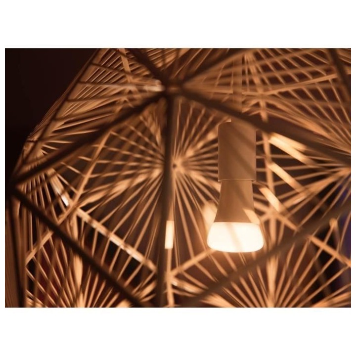 Philips Hue White, ampoule LED connectée E27, Equivalent 75W, 1100 lu