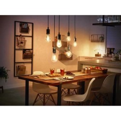 Philips Hue White Ambiance, ampoule LED connectée E27 Filament G93 Globe, Bluetooth, fonctionne avec Alexa, Google et Homekit