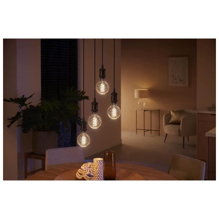 Philips Hue White Ambiance, ampoule LED connectée E27 Filament G93 Gl