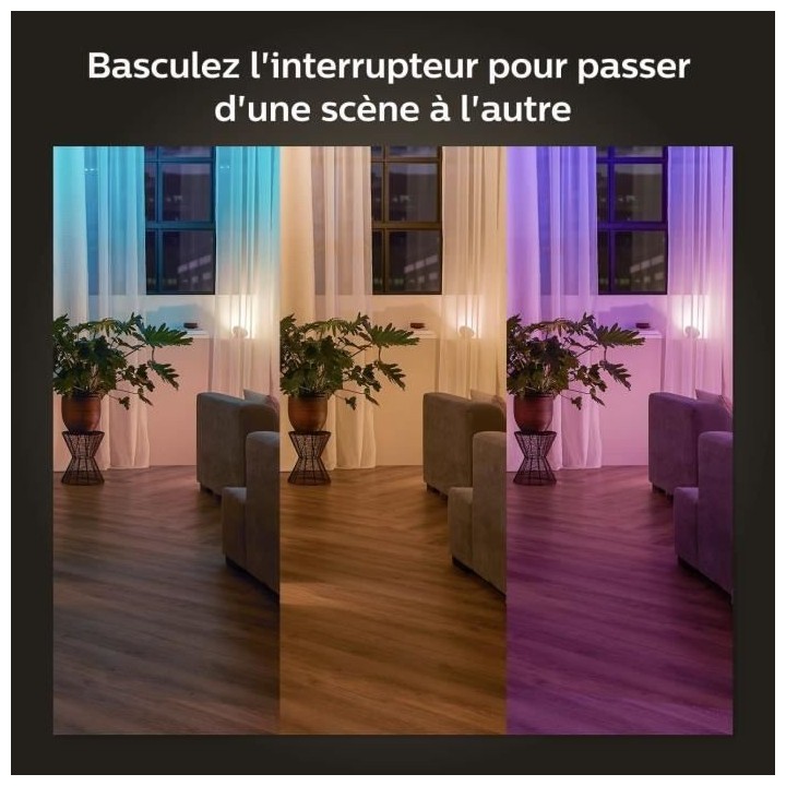 Philips Hue Module d'interrupteur mural, Pack de 2, Blanc, fonctionne