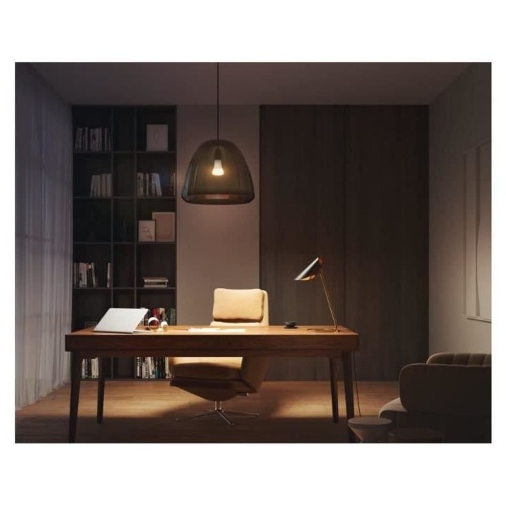 Philips Hue White, ampoule LED connectée E27 100W, 1600 lumen, compat