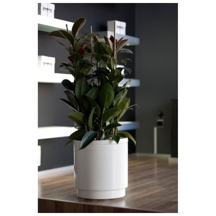 PLASTIKEN Pot de fleurs a réserve d'eau Hidrojardinera - Ø32 cm - Bl